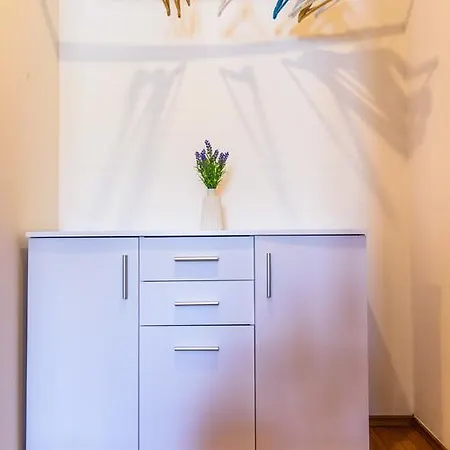 Jidro شقة فندقية تروغير