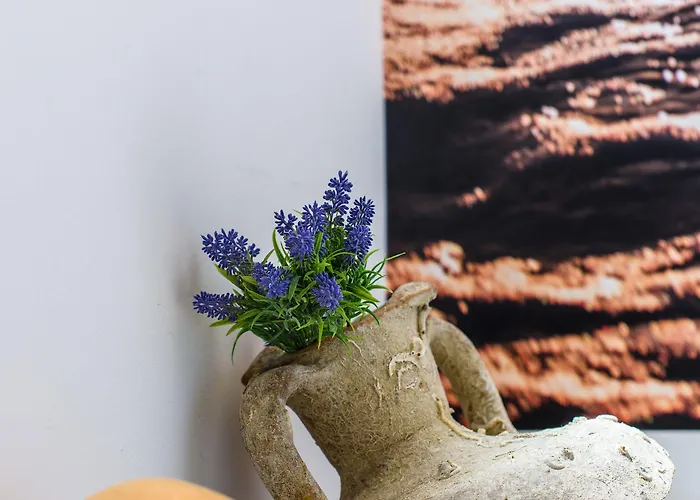 Jidro מלון דירות טרוגיר